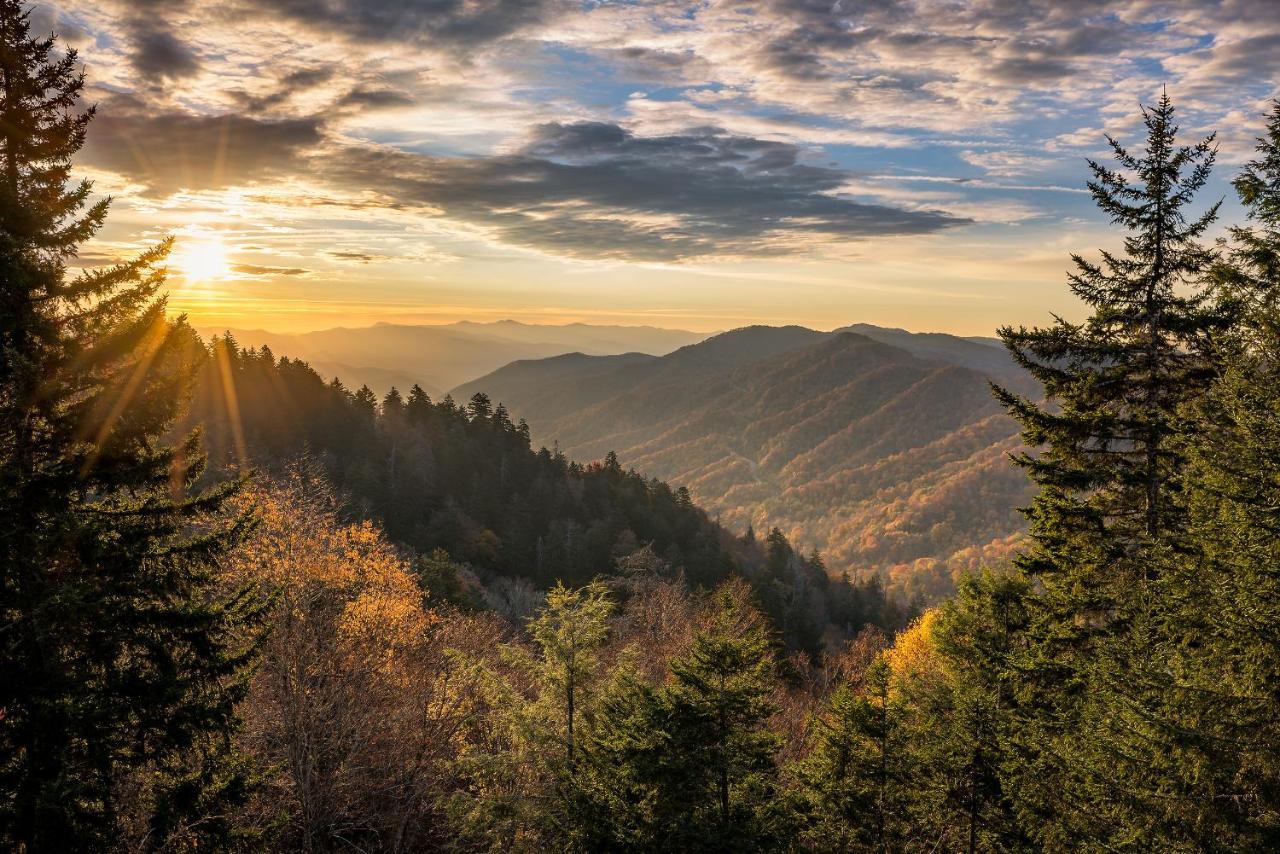 Absolute Delight Whispering Pines 553 Lägenhet Pigeon Forge Exteriör bild